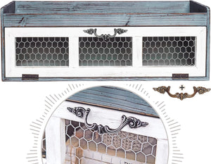 Chicken wire countertop organizer featuring a farmhouse chicken wire countertop shelving cabinet and a farmhouse chicken wire countertop shelf design.